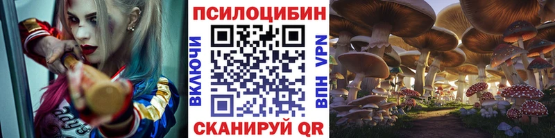 купить наркотик  ссылка на мегу маркетплейс  Галлюциногенные грибы MAGIC MUSHROOMS  Волосово 